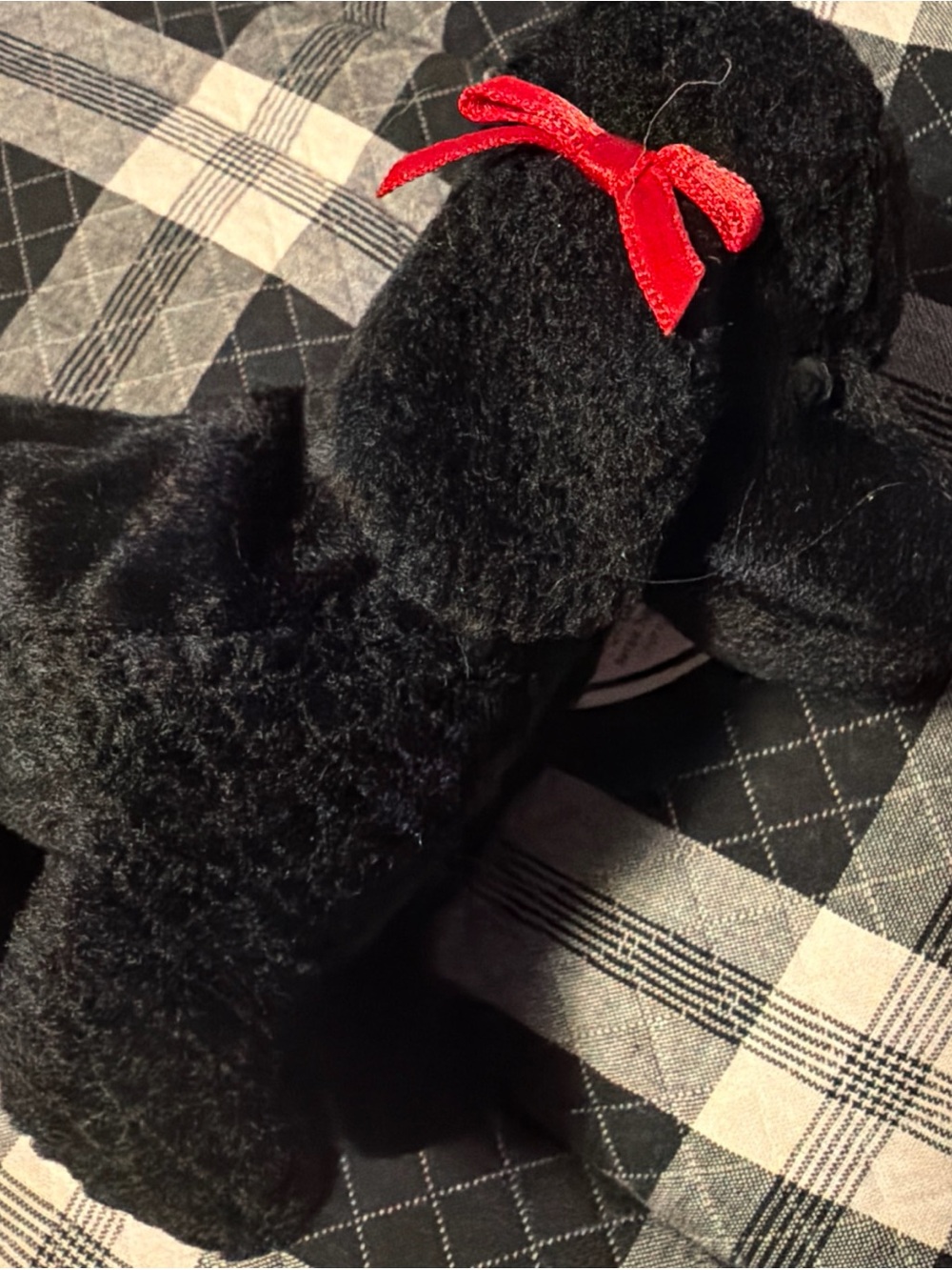 Gigi TY Beanie Baby 1997 1998 Poodle with *Tag Anomalies* Retired - Picture 9 of 9